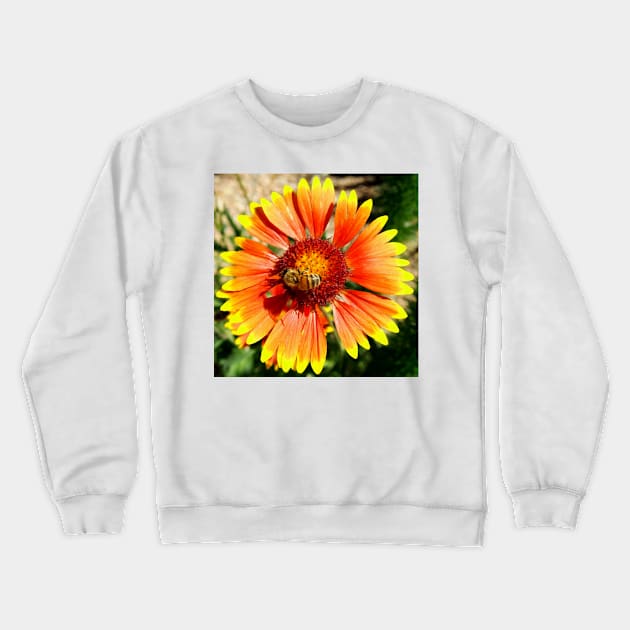 Orange and Red Gaillardia Prairie Flower with Bee Macro Crewneck Sweatshirt by Scubagirlamy